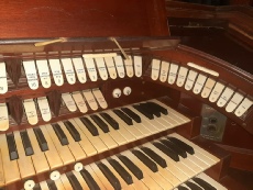 HNB Organ 3.jpeg