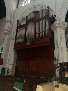 HNB Organ 2.jpeg